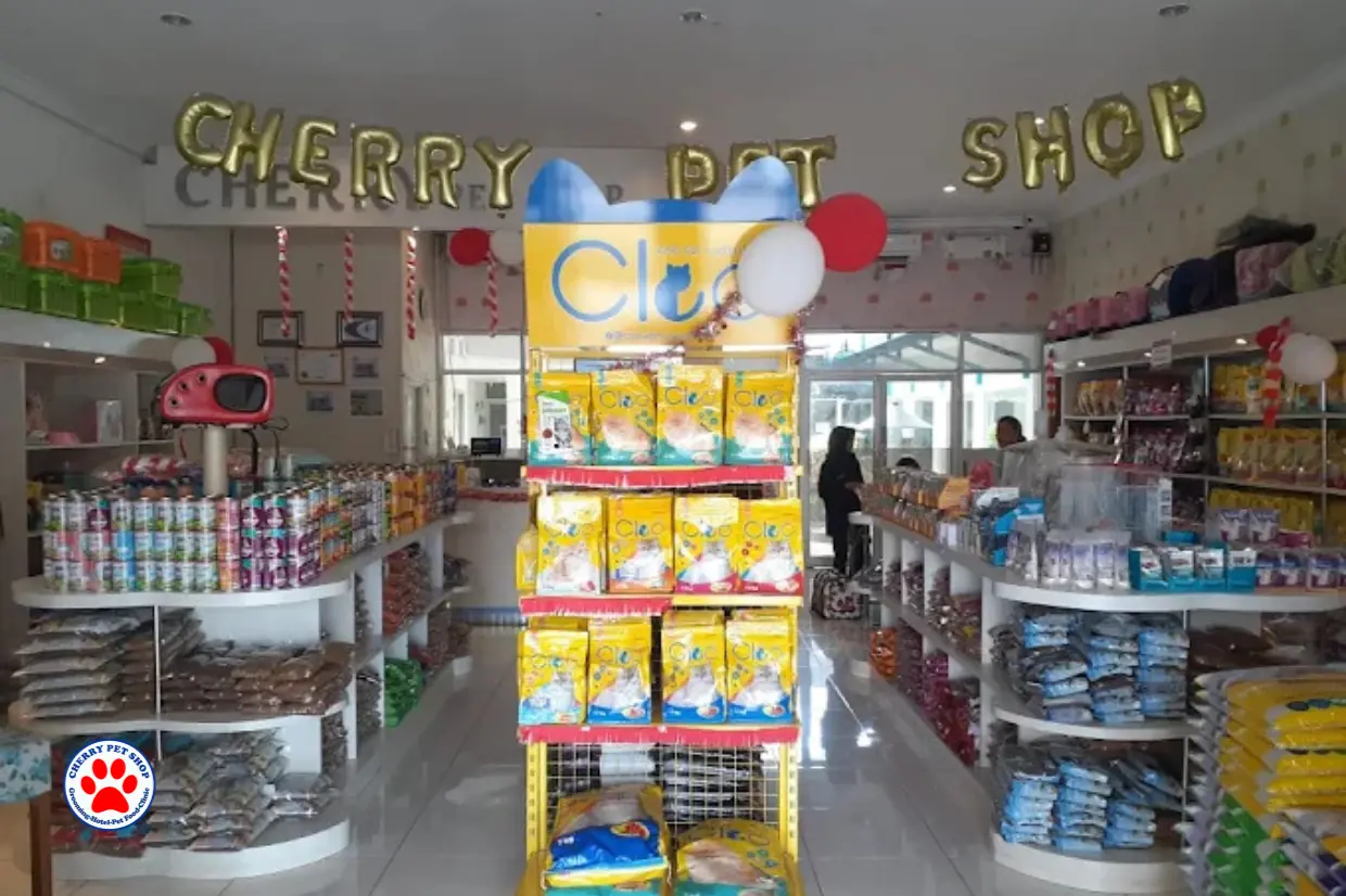 Cherry Pet Shop Adipala: Tempat Terbaik untuk Hewan Peliharaan di Cilacap